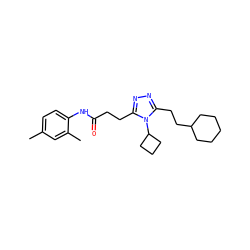 Cc1ccc(NC(=O)CCc2nnc(CCC3CCCCC3)n2C2CCC2)c(C)c1 ZINC000653735670
