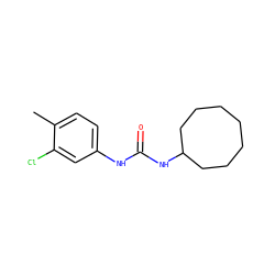 Cc1ccc(NC(=O)NC2CCCCCCC2)cc1Cl ZINC000072116965
