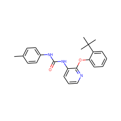 Cc1ccc(NC(=O)Nc2cccnc2Oc2ccccc2C(C)(C)C)cc1 ZINC000038224793