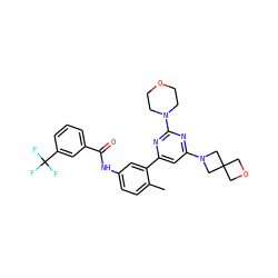 Cc1ccc(NC(=O)c2cccc(C(F)(F)F)c2)cc1-c1cc(N2CC3(COC3)C2)nc(N2CCOCC2)n1 ZINC000220541058