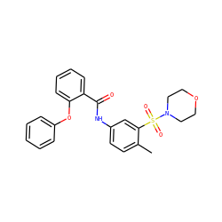 Cc1ccc(NC(=O)c2ccccc2Oc2ccccc2)cc1S(=O)(=O)N1CCOCC1 ZINC000012549675