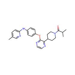 Cc1ccc(Nc2ccc(Oc3nccnc3C3CCN(C(=O)C(C)C)CC3)cc2)nc1 ZINC000148028028