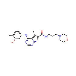 Cc1ccc(Nc2ncnn3cc(C(=O)NCCCN4CCOCC4)c(C)c23)cc1O ZINC000028134121