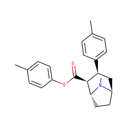 Cc1ccc(OC(=O)[C@H]2[C@@H](c3ccc(C)cc3)C[C@H]3CC[C@H]2N3C)cc1 ZINC000194851402