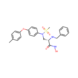 Cc1ccc(Oc2ccc(N(C[C@H](NCc3ccccc3)C(=O)NO)S(C)(=O)=O)cc2)cc1 ZINC000096319067
