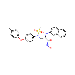 Cc1ccc(Oc2ccc(N(C[C@H](Nc3ccc4ccccc4c3)C(=O)NO)S(C)(=O)=O)cc2)cc1 ZINC000029039809