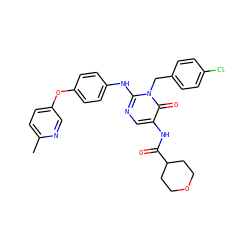 Cc1ccc(Oc2ccc(Nc3ncc(NC(=O)C4CCOCC4)c(=O)n3Cc3ccc(Cl)cc3)cc2)cn1 ZINC000204092177