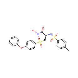 Cc1ccc(S(=O)(=O)N[C@@H](CS(=O)(=O)c2ccc(Oc3ccccc3)cc2)C(=O)NO)cc1 ZINC000026645382