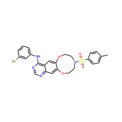 Cc1ccc(S(=O)(=O)N2CCOc3cc4ncnc(Nc5cccc(Br)c5)c4cc3OCC2)cc1 ZINC000084732446