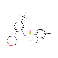 Cc1ccc(S(=O)(=O)Nc2cc(C(F)(F)F)ccc2N2CCOCC2)c(C)c1 ZINC000002616459