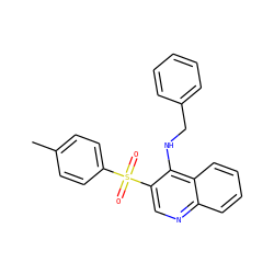Cc1ccc(S(=O)(=O)c2cnc3ccccc3c2NCc2ccccc2)cc1 ZINC000020382350