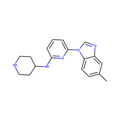 Cc1ccc2c(c1)ncn2-c1cccc(NC2CCNCC2)n1 ZINC000029044461