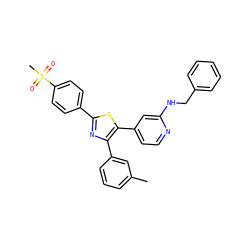 Cc1cccc(-c2nc(-c3ccc(S(C)(=O)=O)cc3)sc2-c2ccnc(NCc3ccccc3)c2)c1 ZINC000013673422