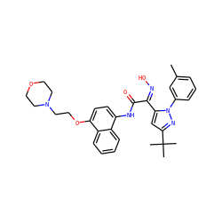 Cc1cccc(-n2nc(C(C)(C)C)cc2/C(=N/O)C(=O)Nc2ccc(OCCN3CCOCC3)c3ccccc23)c1 ZINC000044307648