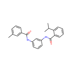 Cc1cccc(C(=O)Nc2cccc(NC(=O)c3ccccc3C(C)C)c2)c1 ZINC000169341194