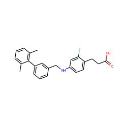 Cc1cccc(C)c1-c1cccc(CNc2ccc(CCC(=O)O)c(F)c2)c1 ZINC000095554666