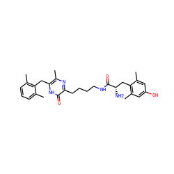Cc1cccc(C)c1Cc1[nH]c(=O)c(CCCCNC(=O)[C@@H](N)Cc2c(C)cc(O)cc2C)nc1C ZINC000028825458
