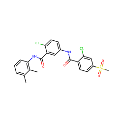 Cc1cccc(NC(=O)c2cc(NC(=O)c3ccc(S(C)(=O)=O)cc3Cl)ccc2Cl)c1C ZINC000103246653