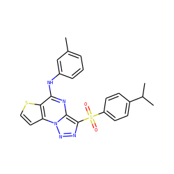 Cc1cccc(Nc2nc3c(S(=O)(=O)c4ccc(C(C)C)cc4)nnn3c3ccsc23)c1 ZINC000020516400