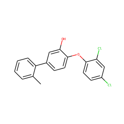 Cc1ccccc1-c1ccc(Oc2ccc(Cl)cc2Cl)c(O)c1 ZINC000016052044