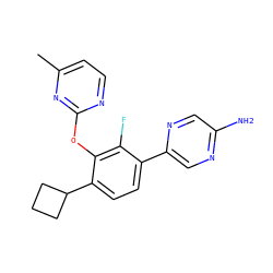 Cc1ccnc(Oc2c(C3CCC3)ccc(-c3cnc(N)cn3)c2F)n1 ZINC000212128184