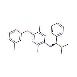 Cc1ccnc(Oc2nc(C)c(N[C@@H](c3ccccc3)C(C)C)nc2C)c1 ZINC000028956279