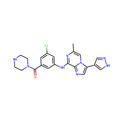 Cc1cn2c(-c3cn[nH]c3)cnc2c(Nc2cc(Cl)cc(C(=O)N3CCNCC3)c2)n1 ZINC000072125122