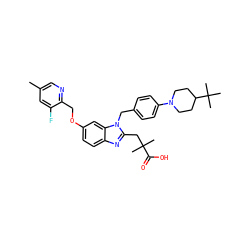 Cc1cnc(COc2ccc3nc(CC(C)(C)C(=O)O)n(Cc4ccc(N5CCC(C(C)(C)C)CC5)cc4)c3c2)c(F)c1 ZINC000226032064