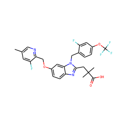 Cc1cnc(COc2ccc3nc(CC(C)(C)C(=O)O)n(Cc4ccc(OC(F)(F)F)cc4F)c3c2)c(F)c1 ZINC000218130216