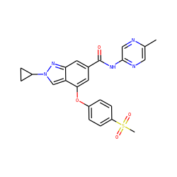 Cc1cnc(NC(=O)c2cc(Oc3ccc(S(C)(=O)=O)cc3)c3cn(C4CC4)nc3c2)cn1 ZINC000095563128