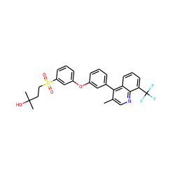 Cc1cnc2c(C(F)(F)F)cccc2c1-c1cccc(Oc2cccc(S(=O)(=O)CCC(C)(C)O)c2)c1 ZINC000049767771