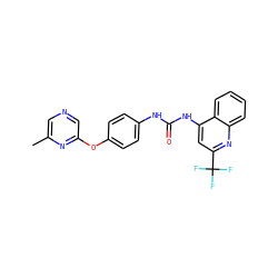 Cc1cncc(Oc2ccc(NC(=O)Nc3cc(C(F)(F)F)nc4ccccc34)cc2)n1 ZINC000064415698