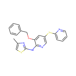 Cc1csc(Nc2ncc(Sc3ccccn3)cc2OCc2ccccc2)n1 ZINC000096284833