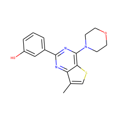Cc1csc2c(N3CCOCC3)nc(-c3cccc(O)c3)nc12 ZINC000040953153