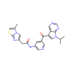 Cc1csc2nc(CC(=O)Nc3cncc(C(=O)c4cn(C(C)C)c5ncncc45)c3)cn12 ZINC000169707914