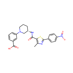 Cc1nc(-c2ccc([N+](=O)[O-])cc2)sc1C(=O)N[C@H]1CCCN(c2cccc(C(=O)O)c2)C1 ZINC000082157960