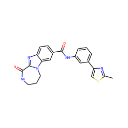 Cc1nc(-c2cccc(NC(=O)c3ccc4nc5n(c4c3)CCCNC5=O)c2)cs1 ZINC000147127064