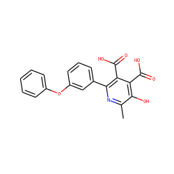 Cc1nc(-c2cccc(Oc3ccccc3)c2)c(C(=O)O)c(C(=O)O)c1O ZINC000103242006