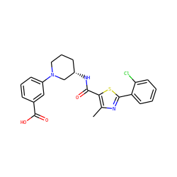 Cc1nc(-c2ccccc2Cl)sc1C(=O)N[C@H]1CCCN(c2cccc(C(=O)O)c2)C1 ZINC000073222256