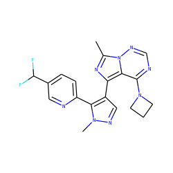 Cc1nc(-c2cnn(C)c2-c2ccc(C(F)F)cn2)c2c(N3CCC3)ncnn12 ZINC000169697388