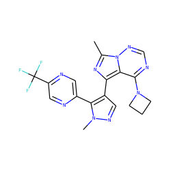 Cc1nc(-c2cnn(C)c2-c2cnc(C(F)(F)F)cn2)c2c(N3CCC3)ncnn12 ZINC000169697394