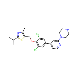 Cc1nc(C(C)C)sc1COc1c(Cl)cc(-c2ccnc(N3CCNCC3)c2)cc1Cl ZINC001772586409