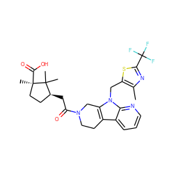 Cc1nc(C(F)(F)F)sc1Cn1c2c(c3cccnc31)CCN(C(=O)C[C@H]1CC[C@@](C)(C(=O)O)C1(C)C)C2 ZINC000145793291