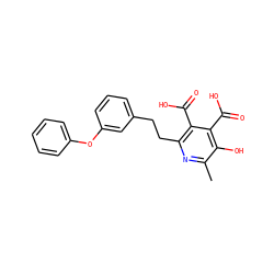 Cc1nc(CCc2cccc(Oc3ccccc3)c2)c(C(=O)O)c(C(=O)O)c1O ZINC000103242004