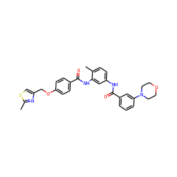 Cc1nc(COc2ccc(C(=O)Nc3cc(NC(=O)c4cccc(N5CCOCC5)c4)ccc3C)cc2)cs1 ZINC000028377370