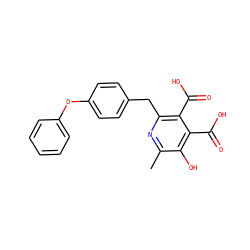 Cc1nc(Cc2ccc(Oc3ccccc3)cc2)c(C(=O)O)c(C(=O)O)c1O ZINC000103242009