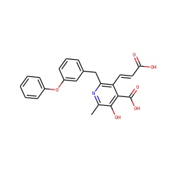 Cc1nc(Cc2cccc(Oc3ccccc3)c2)c(/C=C/C(=O)O)c(C(=O)O)c1O ZINC000103242032