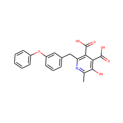Cc1nc(Cc2cccc(Oc3ccccc3)c2)c(C(=O)O)c(C(=O)O)c1O ZINC000103242002