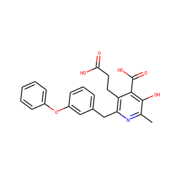 Cc1nc(Cc2cccc(Oc3ccccc3)c2)c(CCC(=O)O)c(C(=O)O)c1O ZINC000103242035