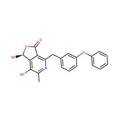 Cc1nc(Cc2cccc(Oc3ccccc3)c2)c2c(c1O)[C@@H](O)OC2=O ZINC000103242042